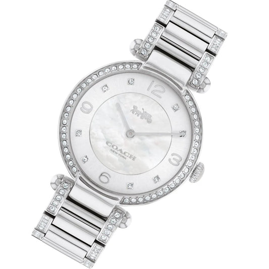 Cary Stainless Steel with Crystals Silver Dial