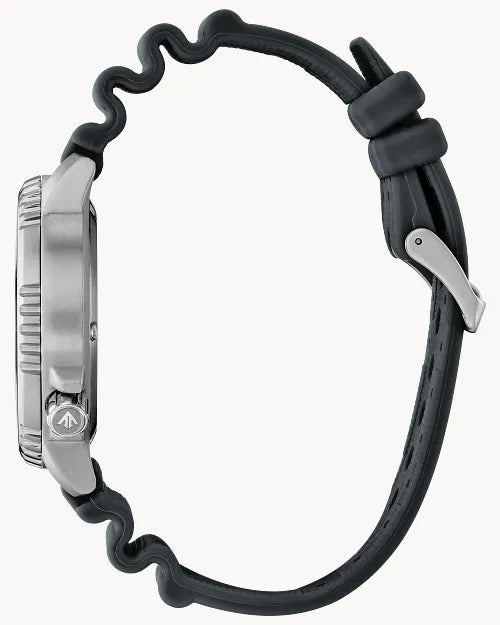 Promaster Dive