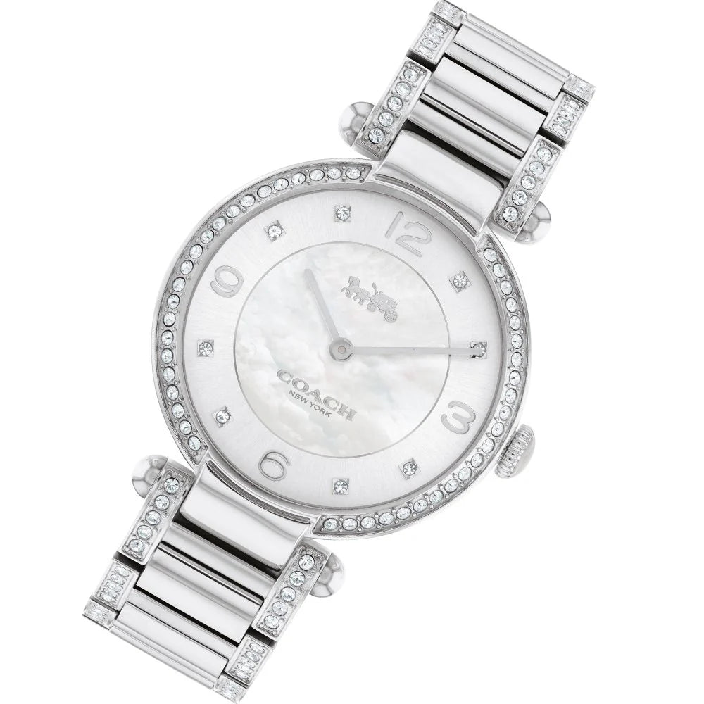 Cary Stainless Steel with Crystals Silver Dial