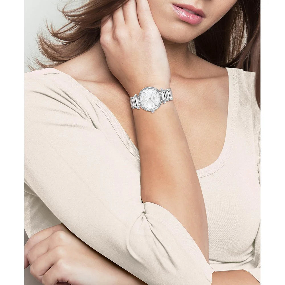 Cary Stainless Steel with Crystals Silver Dial