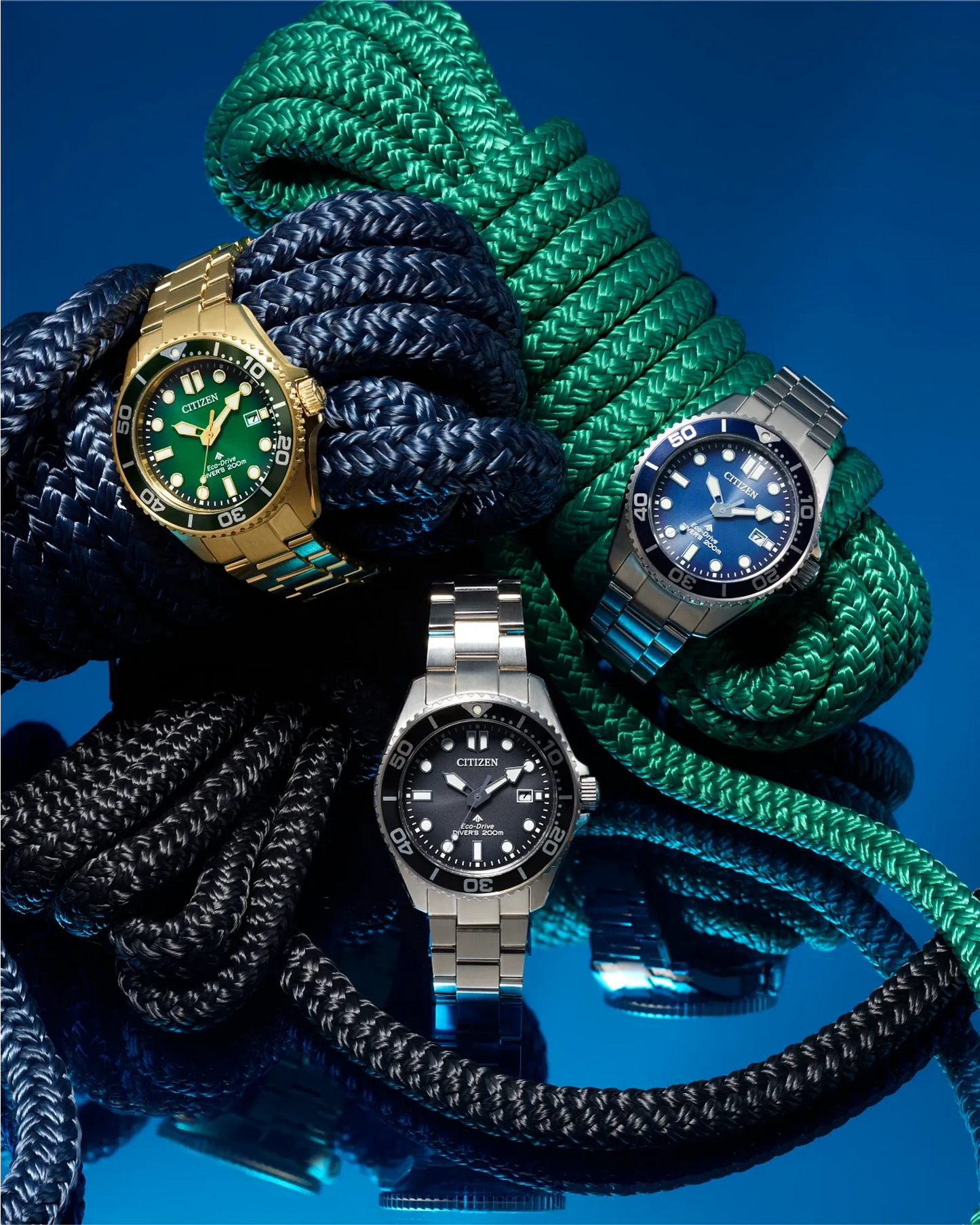 Promaster Dive