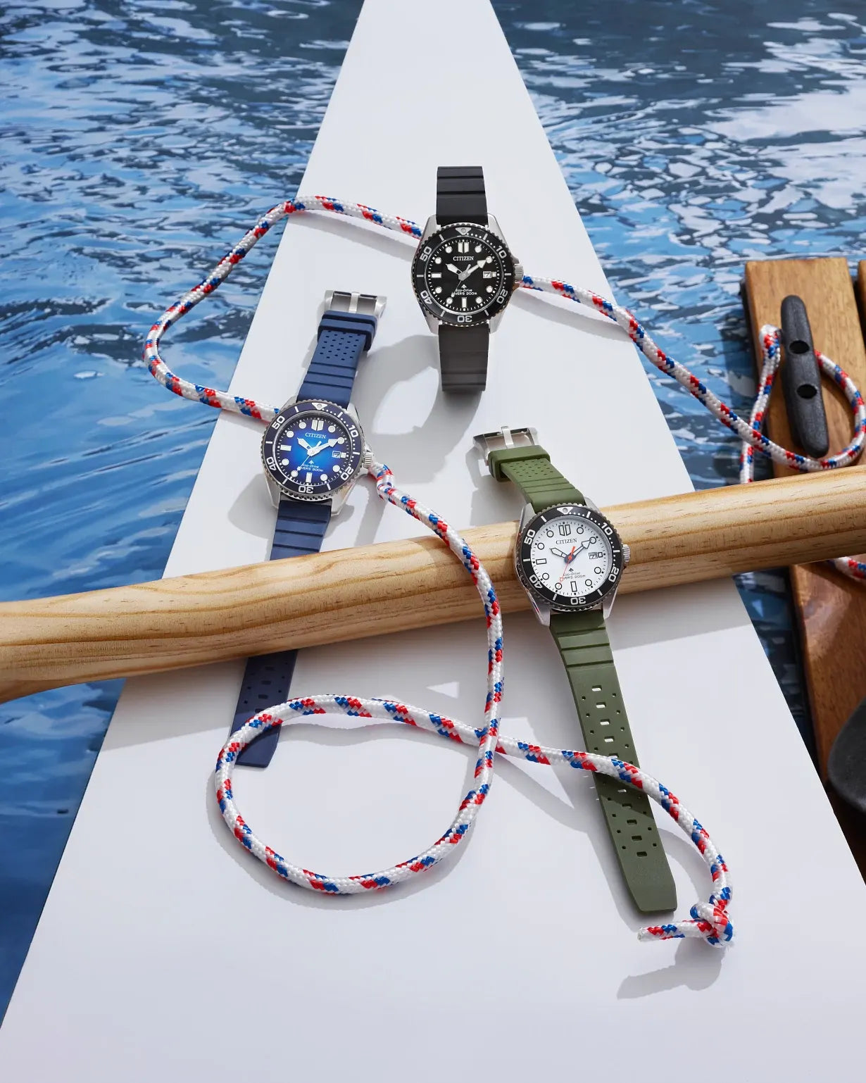 PROMASTER DIVE