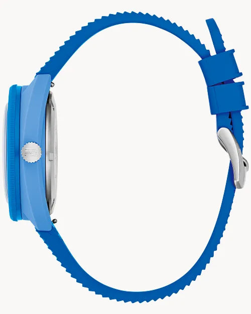 Snorkel Blue Tang Fish