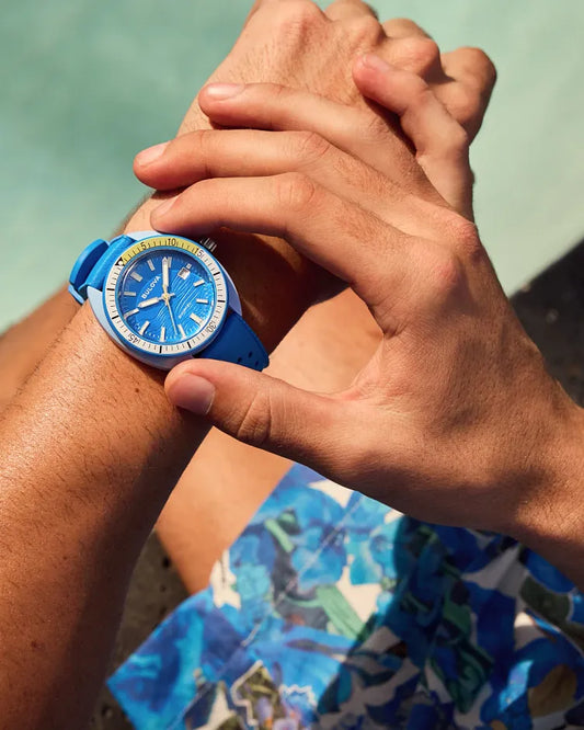Snorkel Blue Tang Fish