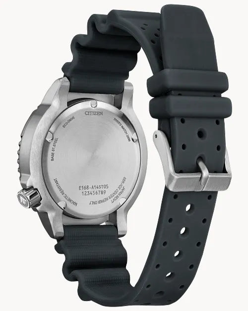 Promaster Dive