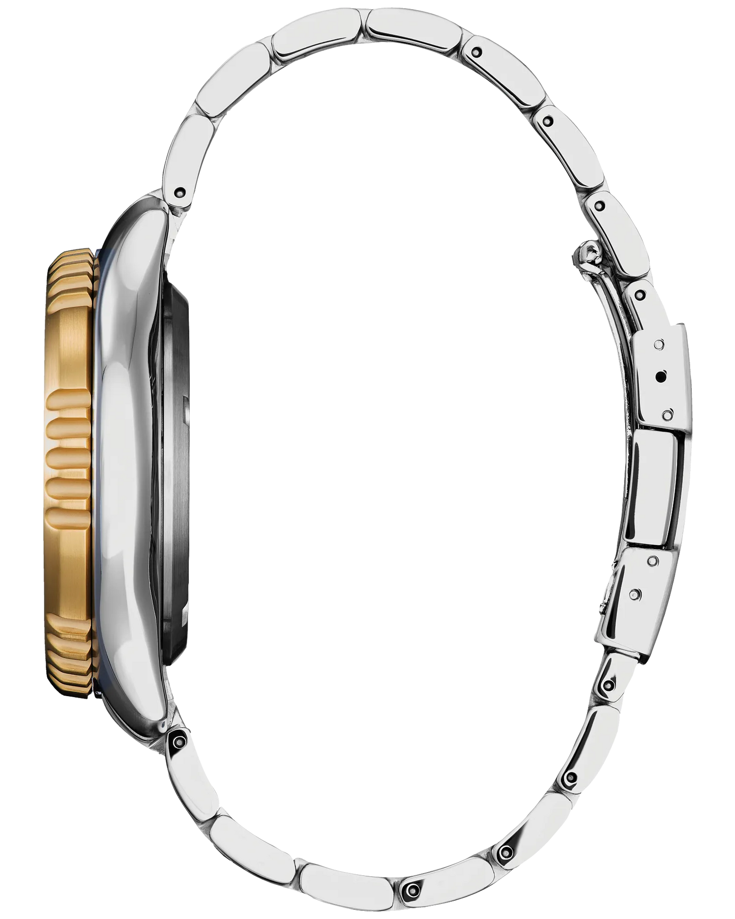 Promaster Dive Automatic